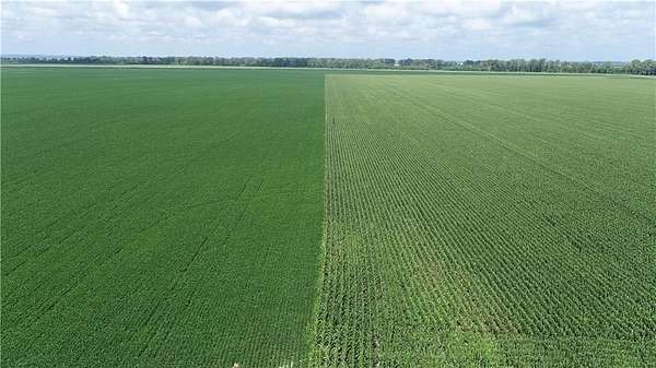 323 Acres of Agricultural Land for Sale in Waverly, Missouri