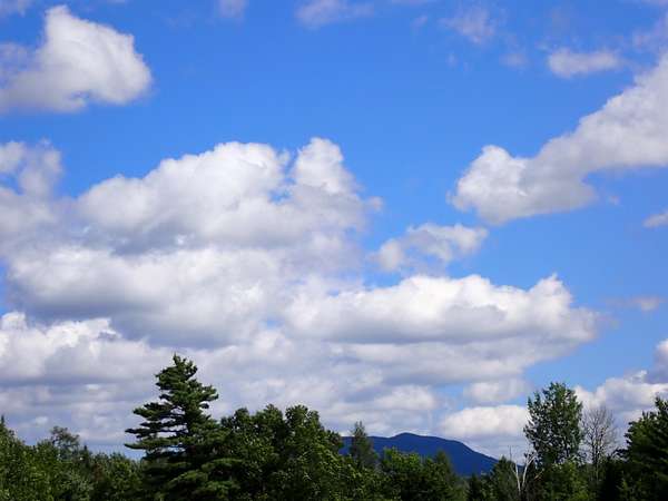 152 Acres of Recreational Land for Sale in Duane Town, New York