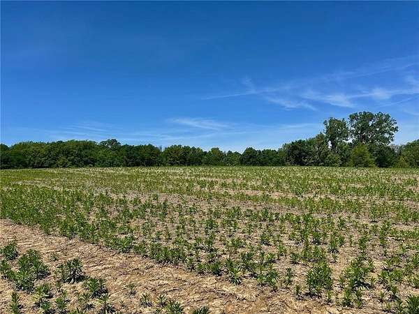 10 Acres of Land for Sale in Lone Jack, Missouri