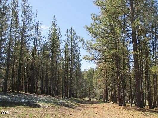 4 Acres of Residential Land for Sale in Beatty, Oregon