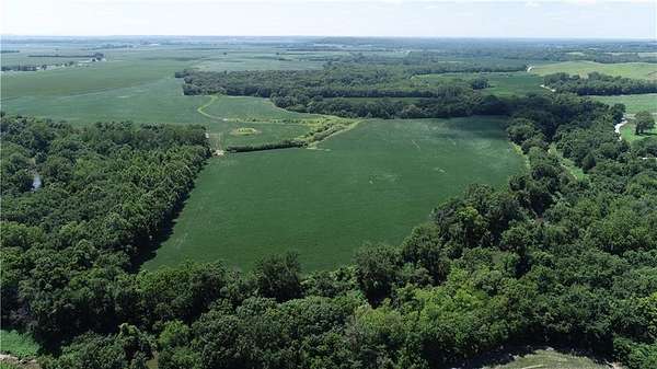 88 Acres of Land for Sale in Orrick, Missouri