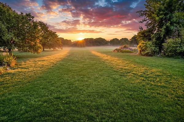 16 Acres of Improved Land for Sale in Aubrey, Texas