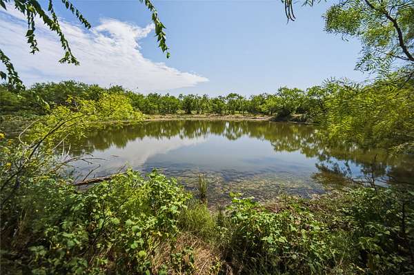 480 Acres of Agricultural Land for Sale in Perrin, Texas