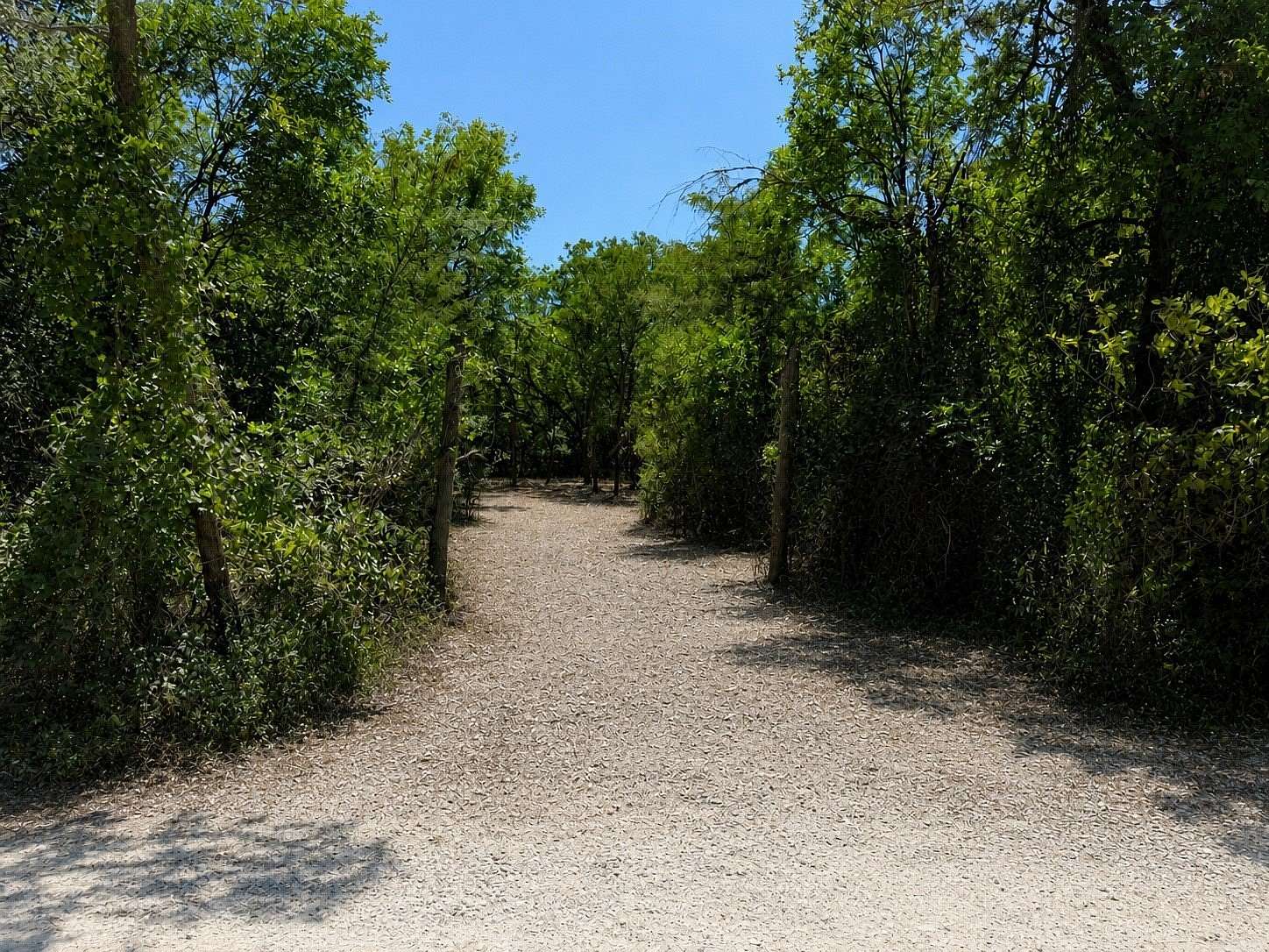 39.2 Acres of Land for Sale in Richland, Texas