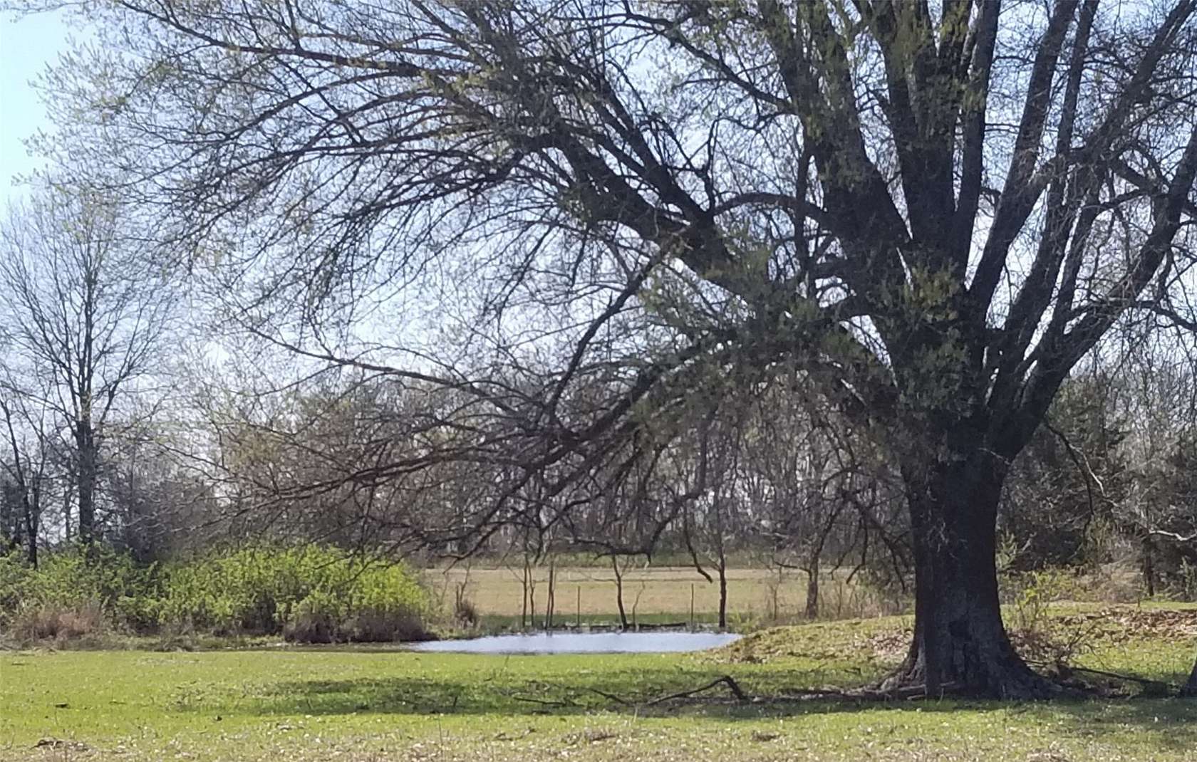 69.3 Acres of Land for Sale in Detroit, Texas