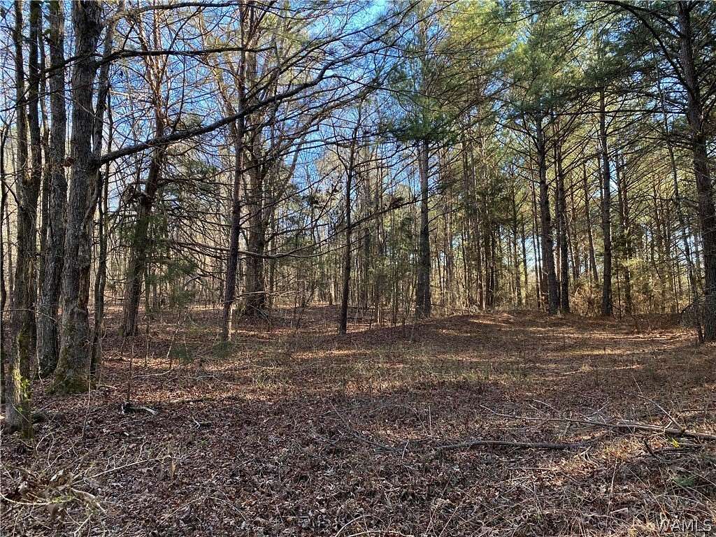 52.7 Acres of Land for Sale in Northport, Alabama