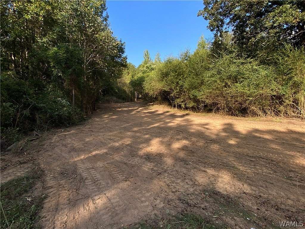 52.7 Acres of Land for Sale in Northport, Alabama