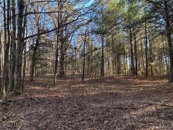 52.7 Acres of Land for Sale in Northport, Alabama