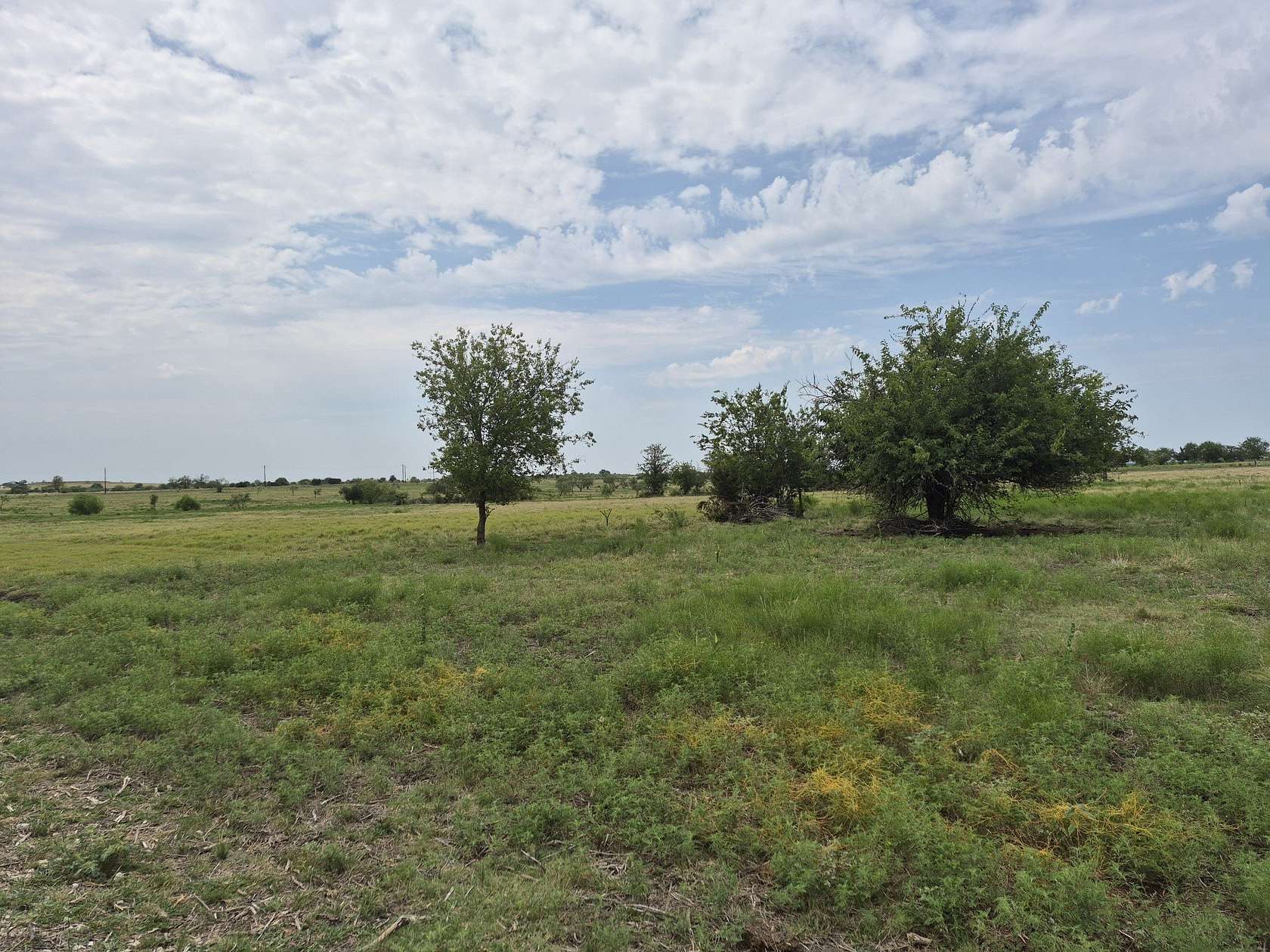 10 Acres of Land for Sale in Jonesboro, Texas