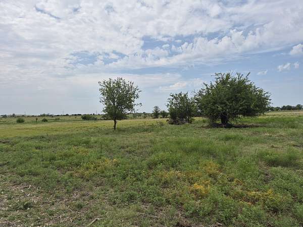 10 Acres of Land for Sale in Jonesboro, Texas