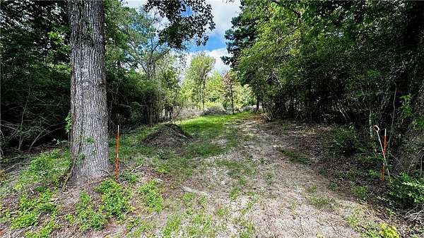 4.2 Acres of Residential Land for Sale in Centerville, Texas