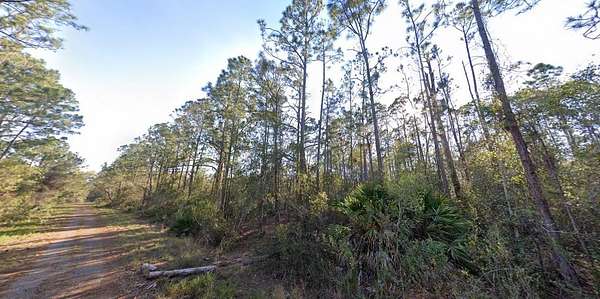 0.22 Acres of Residential Land for Sale in Lake Placid, Florida