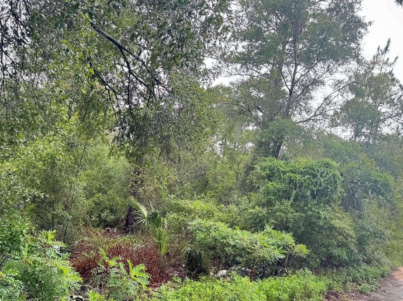 1.25 Acres of Residential Land for Sale in Bronson, Florida
