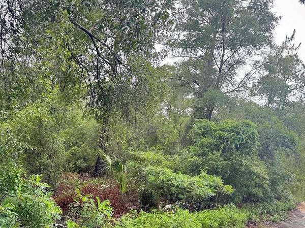 1.25 Acres of Residential Land for Sale in Bronson, Florida