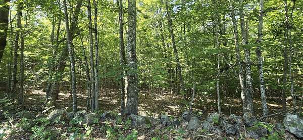 3.9 Acres of Residential Land for Sale in Gilmanton, New Hampshire