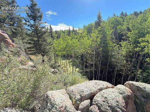 2.28 Acres of Residential Land for Sale in Florissant, Colorado