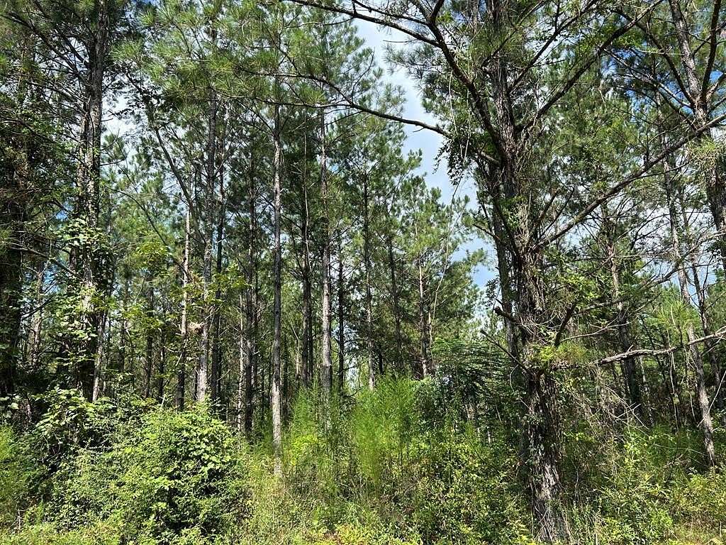 33.5 Acres of Land for Sale in Laurel, Mississippi