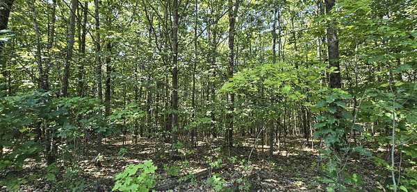 2.47 Acres of Residential Land for Sale in Gilmanton, New Hampshire