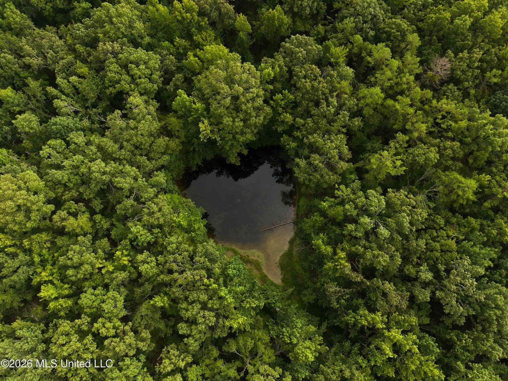 247 Acres of Recreational Land for Sale in Charleston, Mississippi