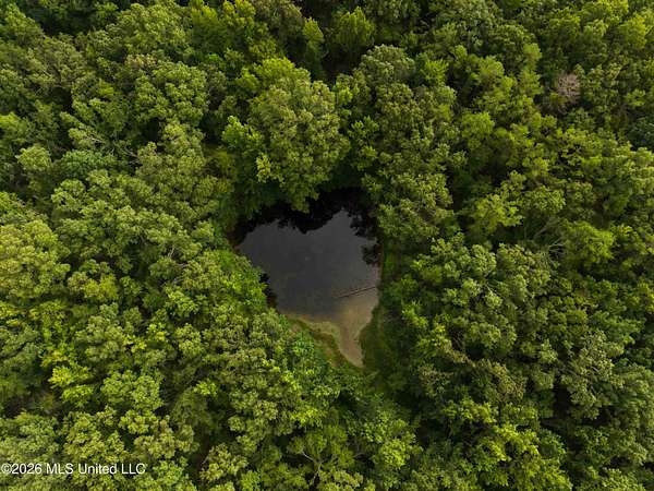 247 Acres of Recreational Land for Sale in Charleston, Mississippi