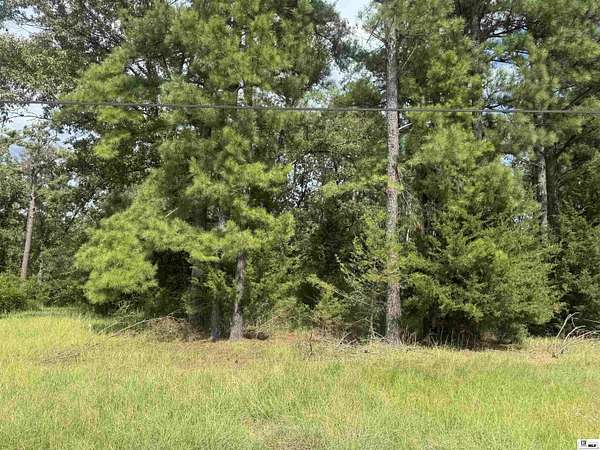 11.4 Acres of Land for Sale in Calhoun, Louisiana