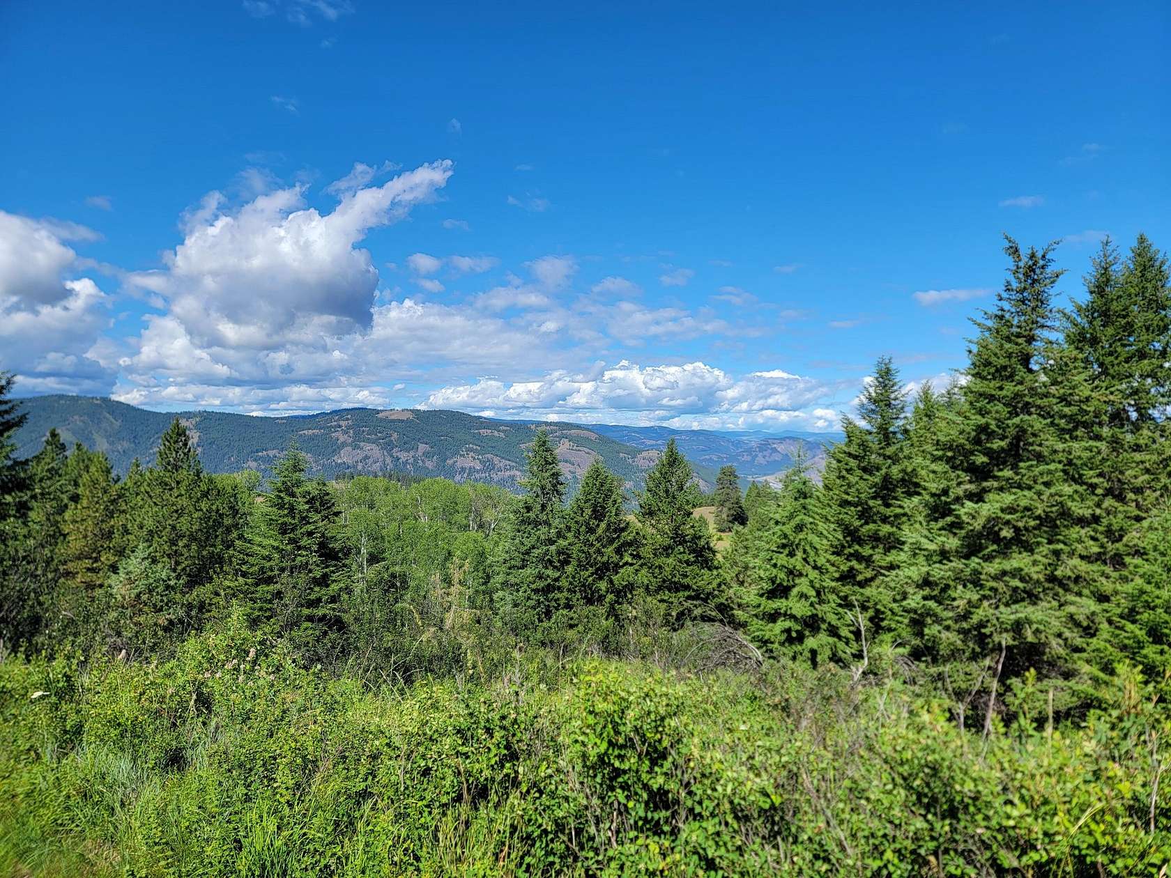 20 Acres of Recreational Land for Sale in Curlew, Washington