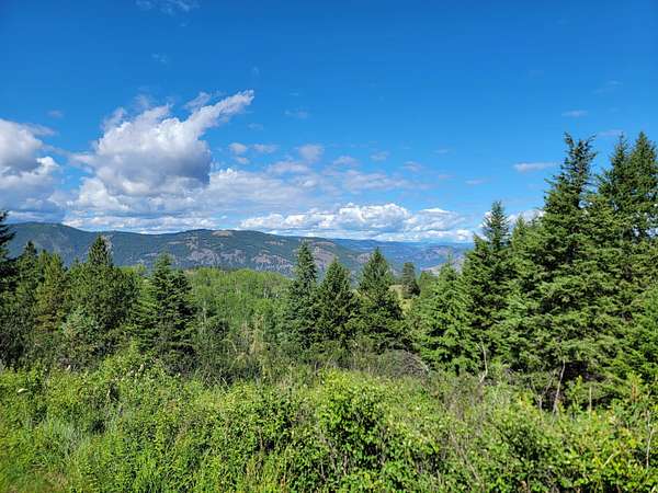 20 Acres of Recreational Land for Sale in Curlew, Washington