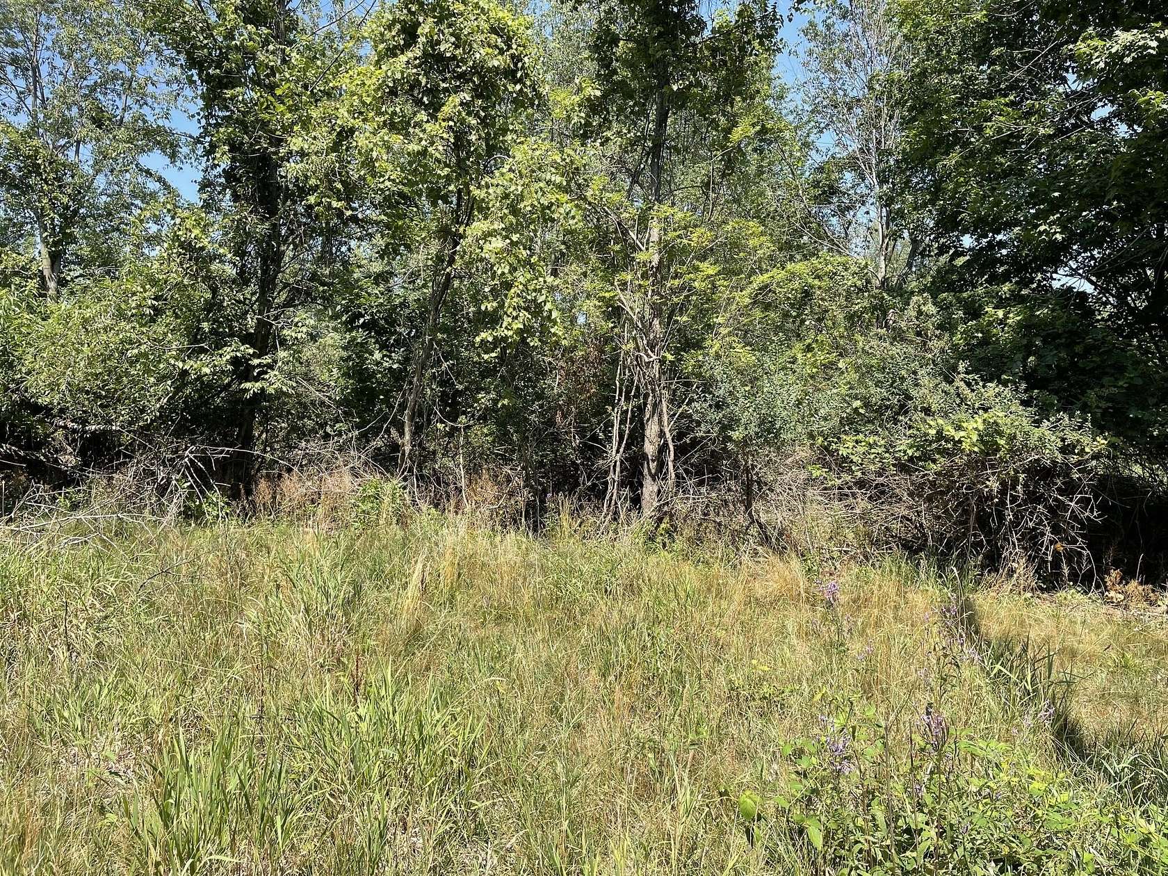 7.69 Acres of Residential Land for Sale in Fennville, Michigan