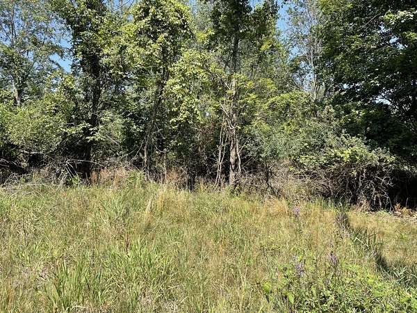 7.69 Acres of Residential Land for Sale in Fennville, Michigan