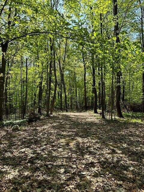 6.39 Acres of Residential Land for Sale in Athens, Michigan