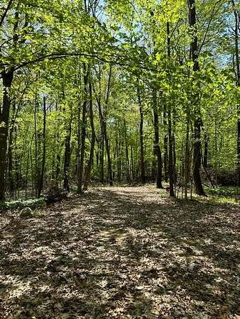 6.39 Acres of Residential Land for Sale in Athens, Michigan