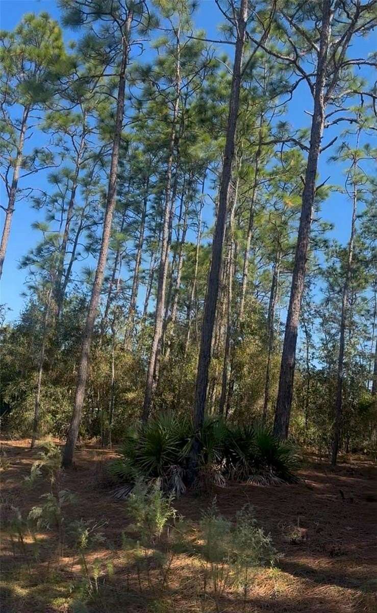 1.87 Acres of Residential Land for Sale in Ocala, Florida