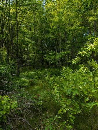 0.59 Acres of Residential Land for Sale in Muskegon, Michigan
