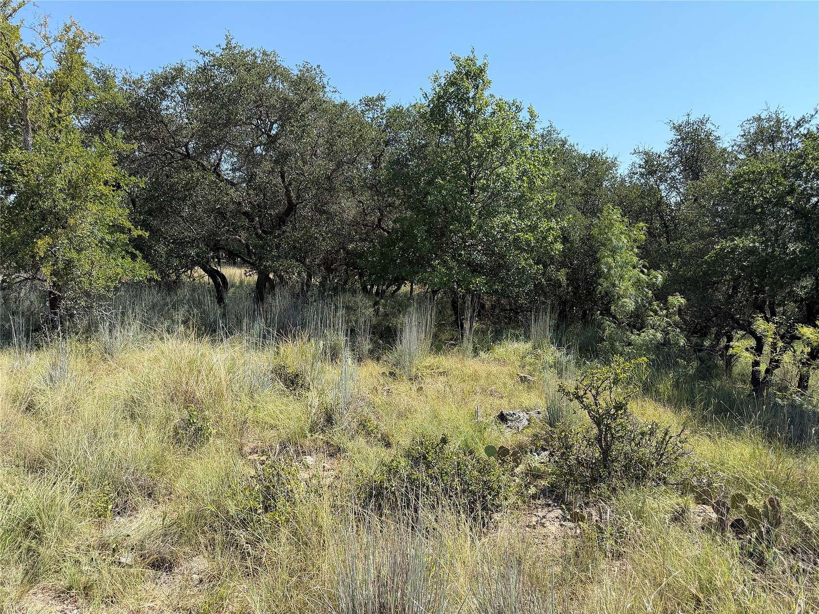 0.51 Acres of Residential Land for Sale in May, Texas