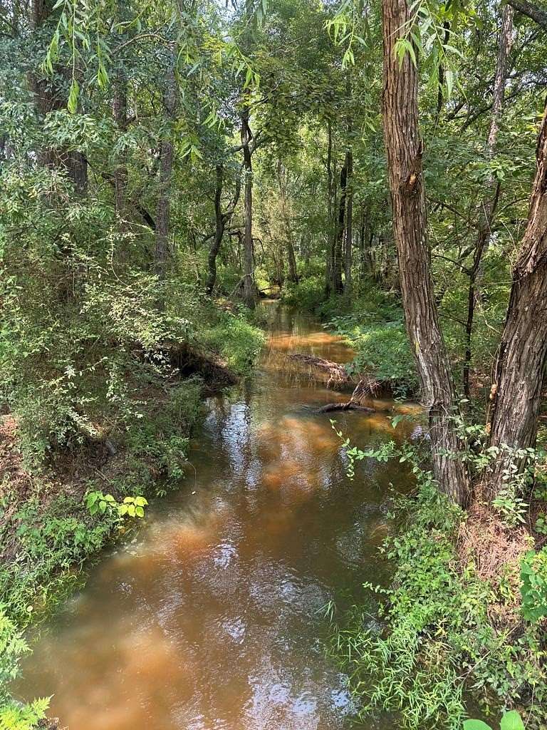 53.7 Acres of Recreational Land for Sale in Ashburn, Georgia