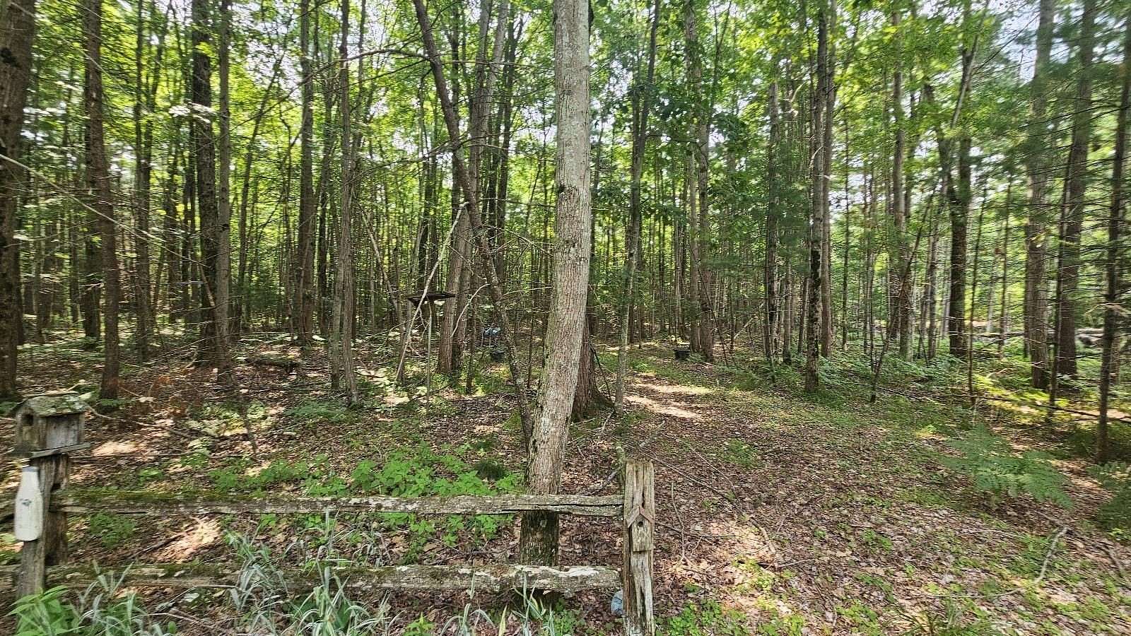 1.44 Acres of Land for Sale in Gladwin, Michigan