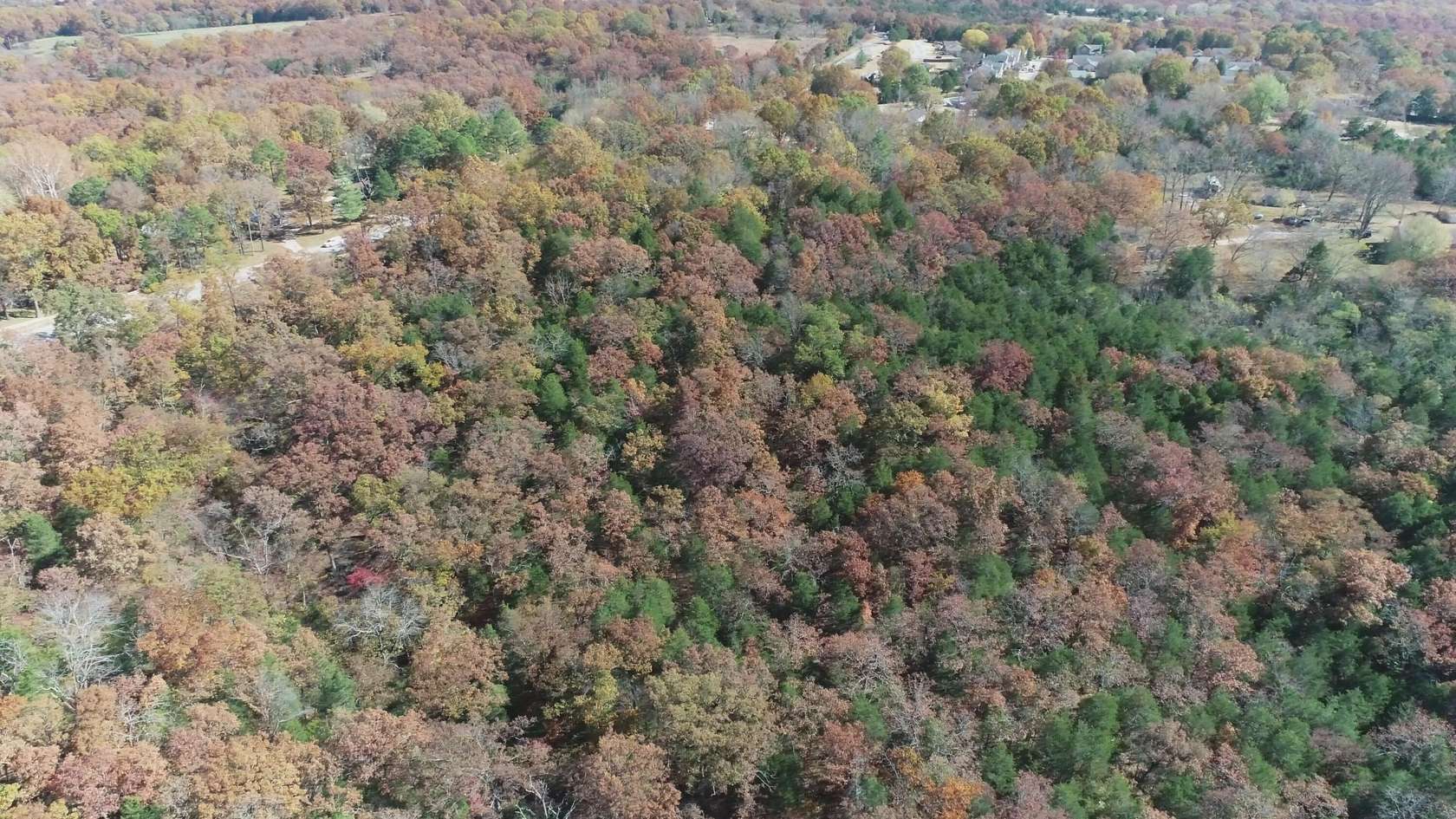 9.54 Acres of Land for Sale in Kirbyville, Missouri