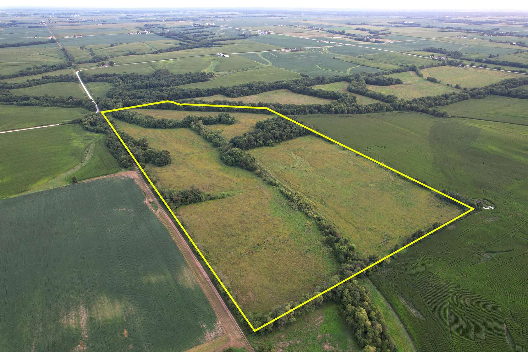 73.1 Acres of Land for Sale in Hedrick, Iowa