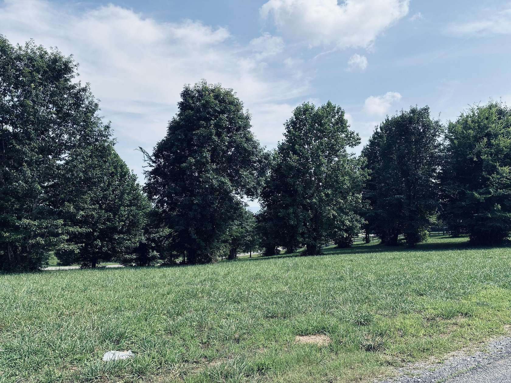 1.3 Acres of Residential Land for Sale in Jasper, Tennessee