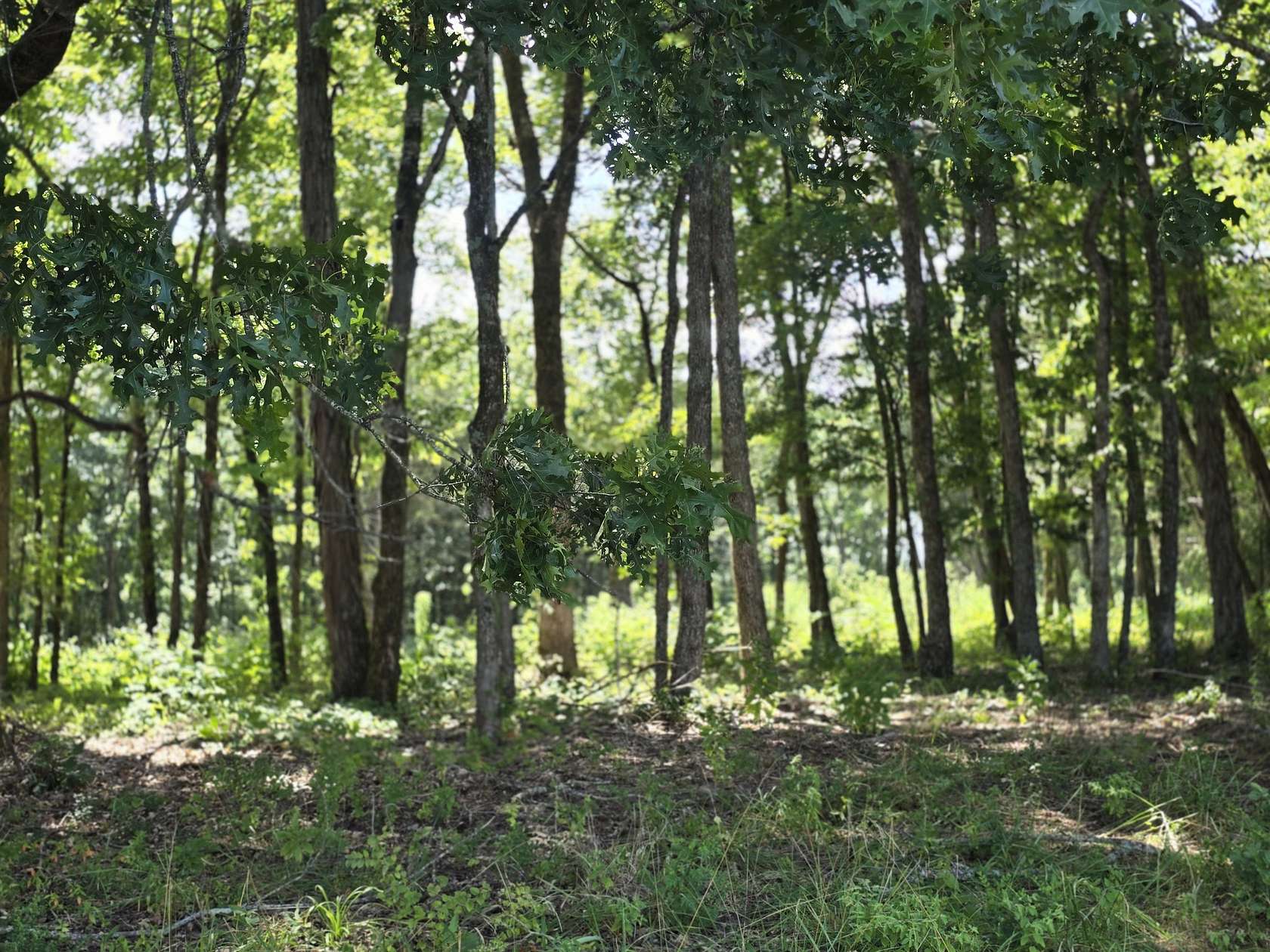 3.64 Acres of Residential Land for Sale in Lewisburg, Tennessee