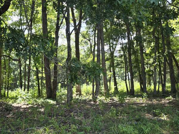 3.64 Acres of Residential Land for Sale in Lewisburg, Tennessee