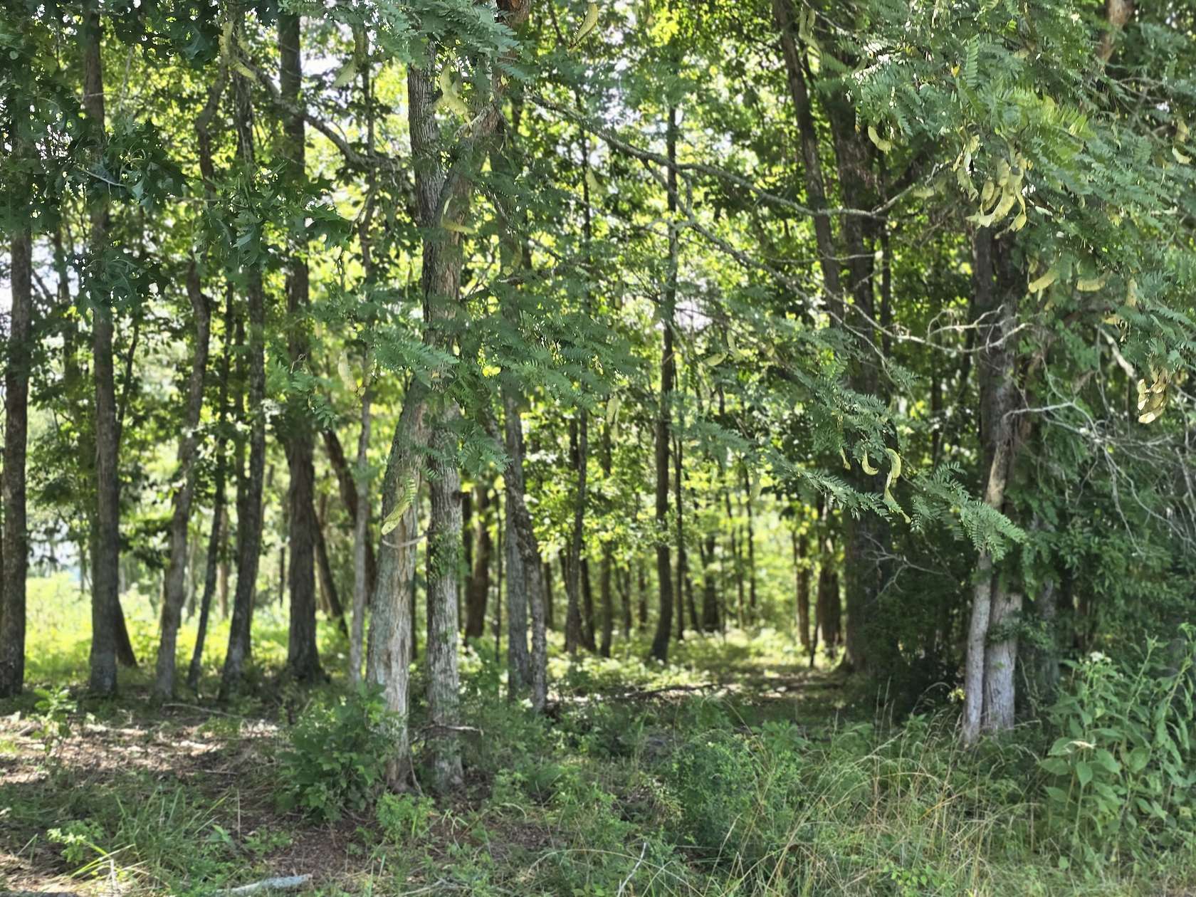 11 Acres of Land for Sale in Lewisburg, Tennessee