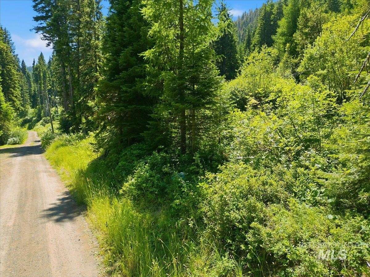 30.3 Acres of Recreational & Residential Land for Sale in Donnelly, Idaho