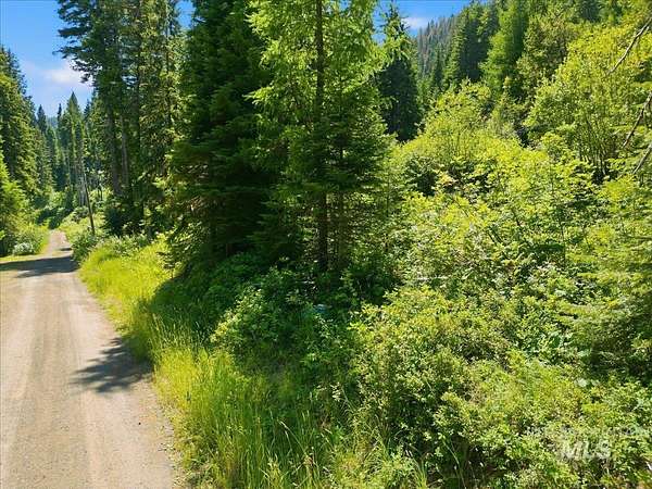 30.3 Acres of Recreational & Residential Land for Sale in Donnelly, Idaho