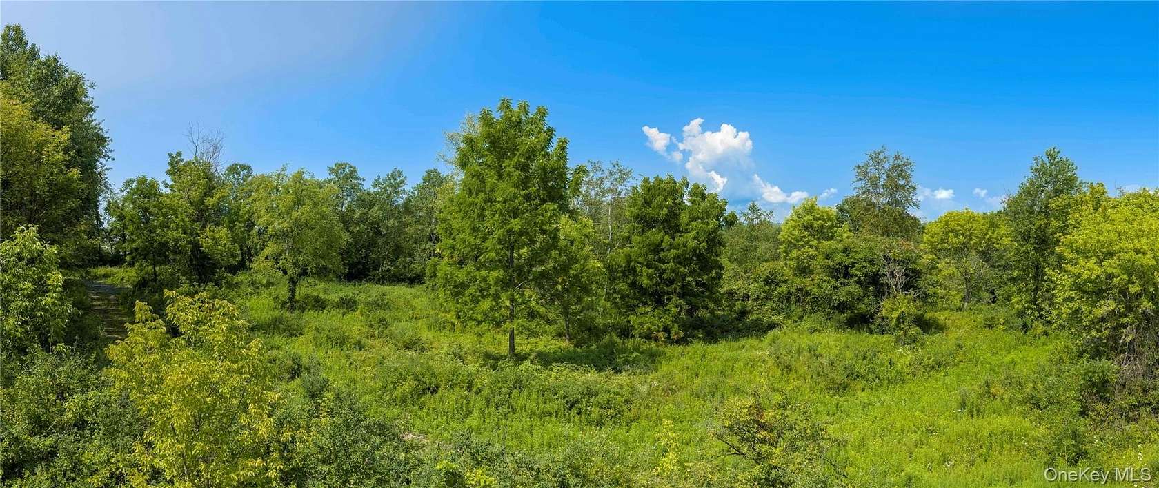 9.7 Acres of Residential Land for Sale in Highland, New York
