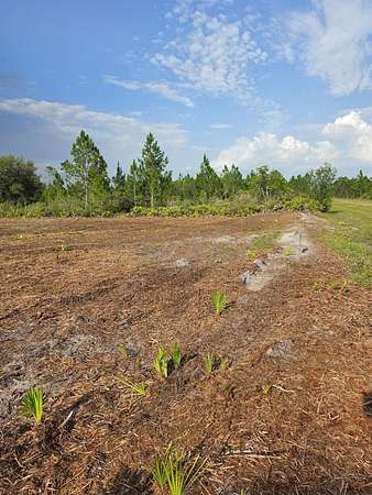 0.5 Acres of Land for Sale in Indian Lake Estates, Florida