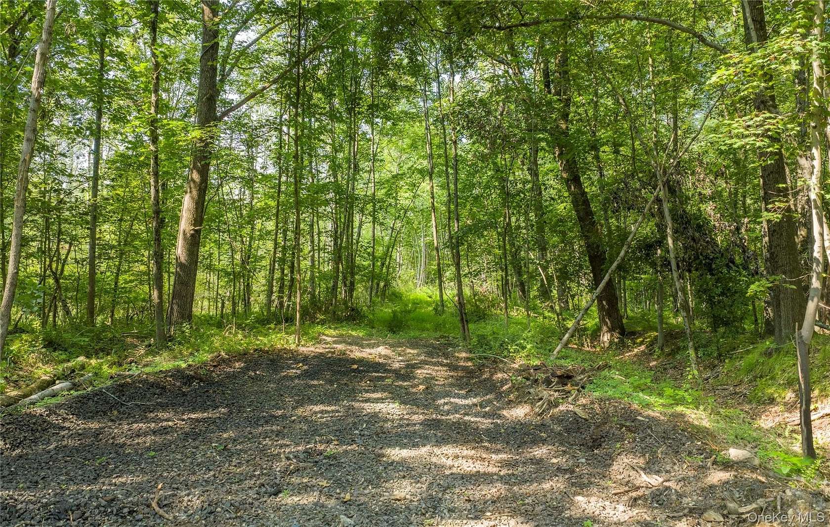 13 Acres of Land for Sale in Highland, New York