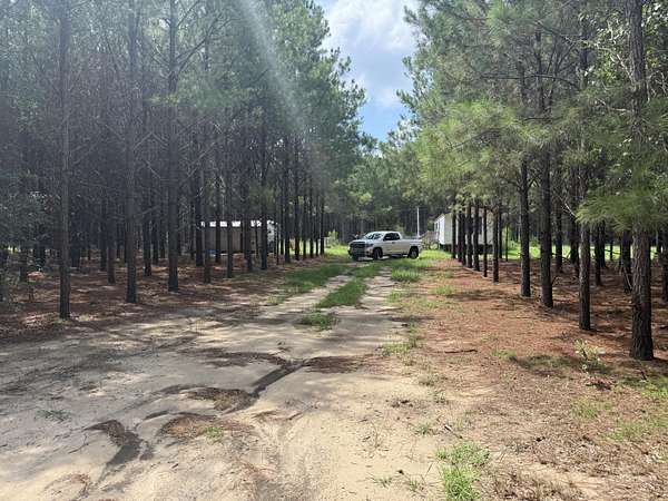 5.2 Acres of Land with Home for Sale in Smoaks, South Carolina