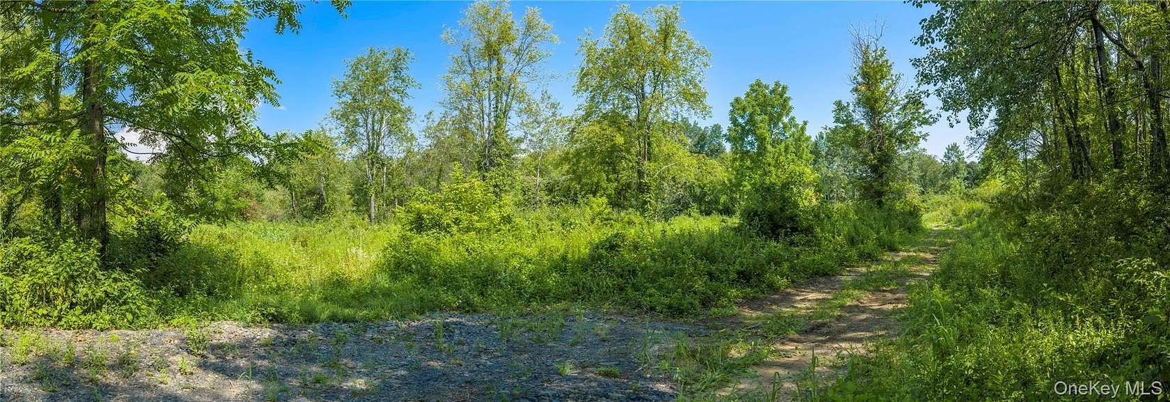 11.6 Acres of Land for Sale in Highland, New York