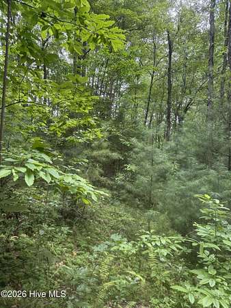 0.89 Acres of Residential Land for Sale in Murphy, North Carolina